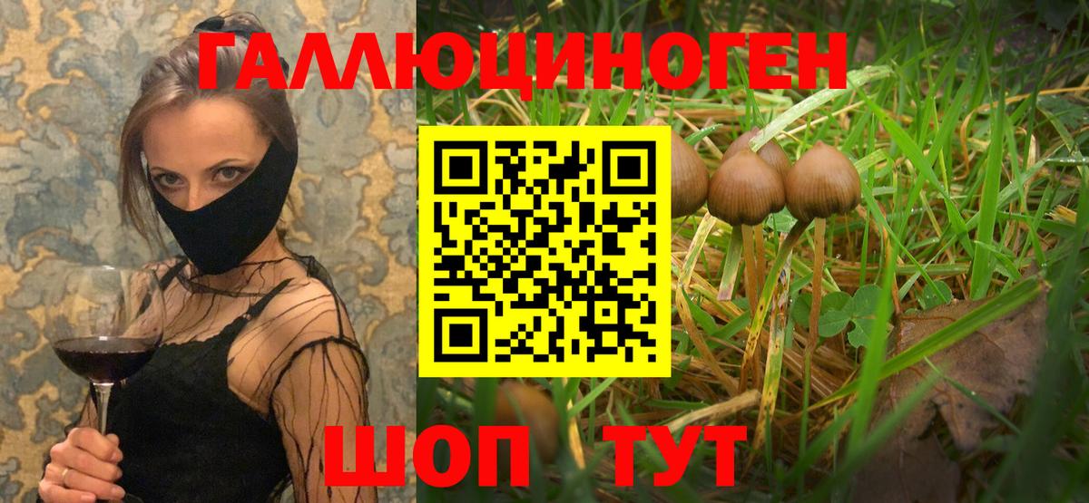 Псилоцибиновые грибы Psilocybine cubensis  Вход с VPN  Ишим 