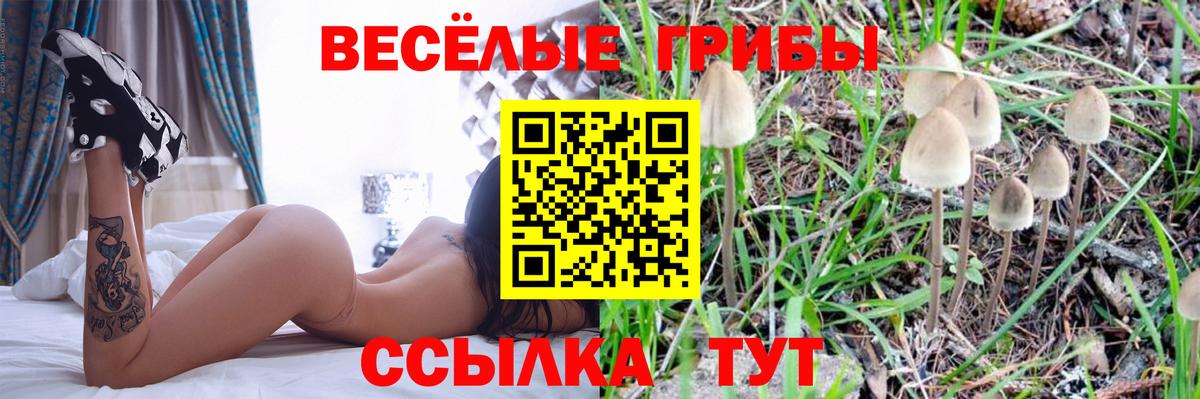 Псилоцибиновые грибы мицелий Ишим